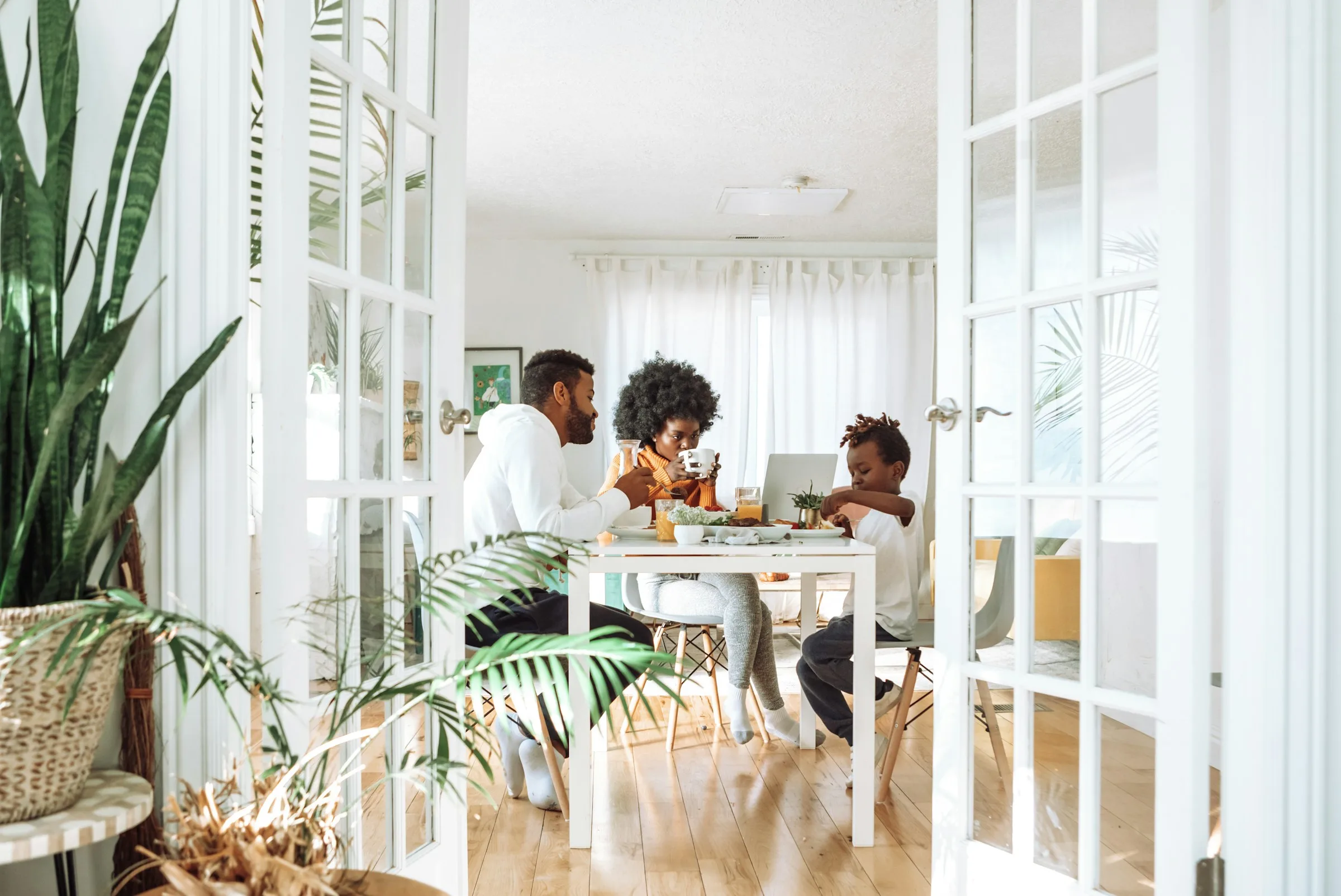 Indoor Air Quality: Pollen, Humidity, and NC Homes