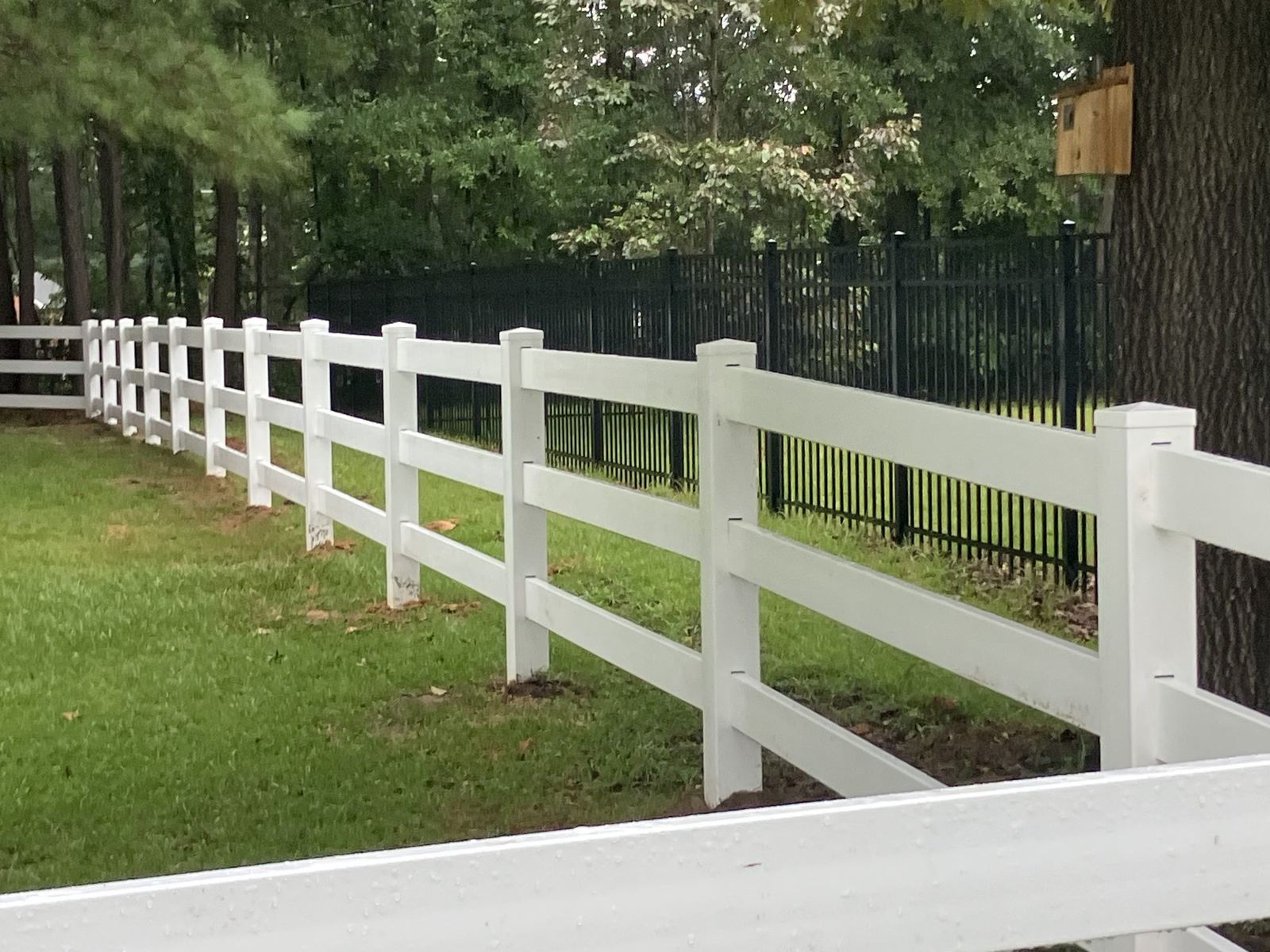 White vinyl rail fence with black metal fencing beyond