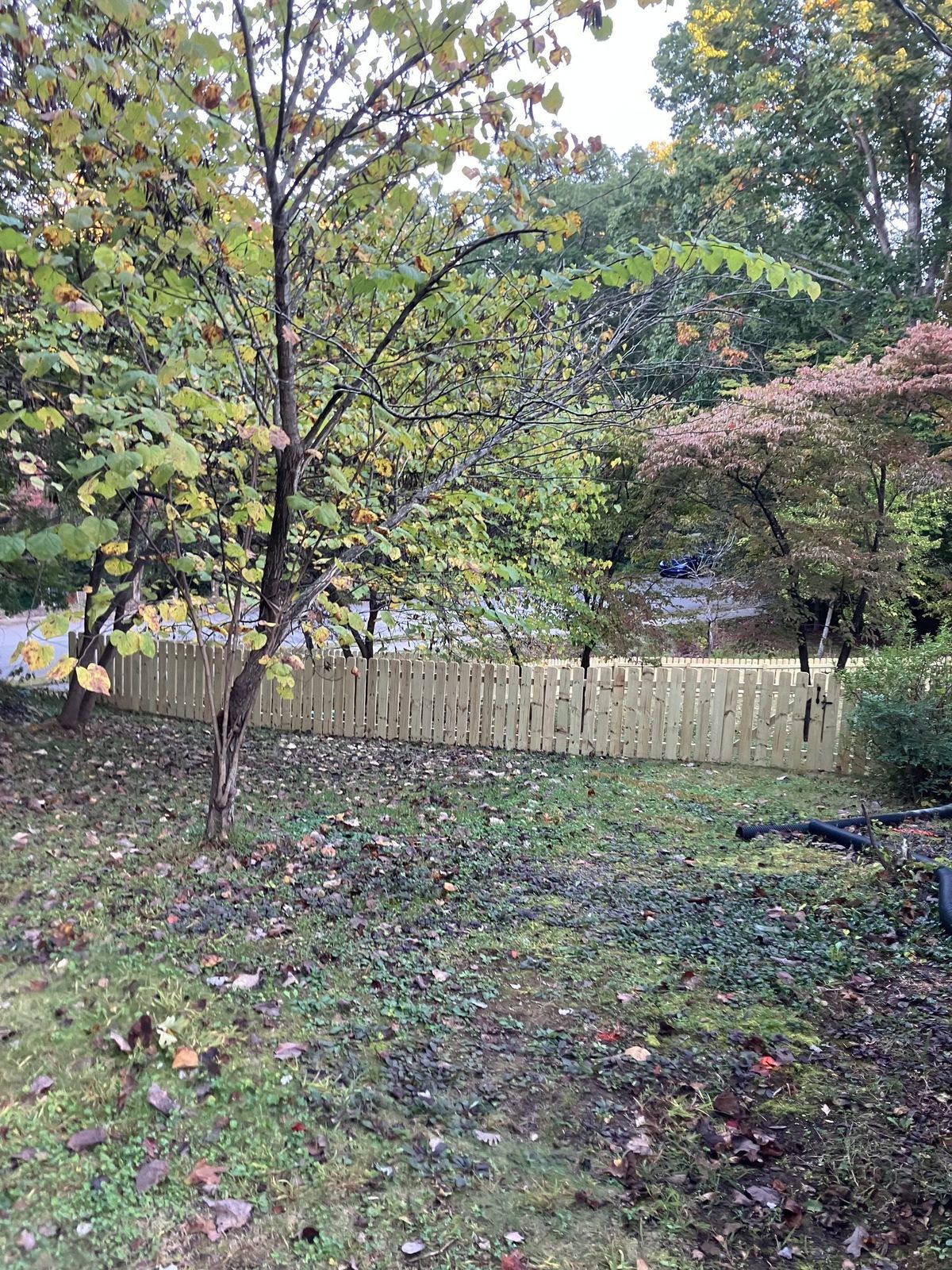 Wood fence line finished along a property edge