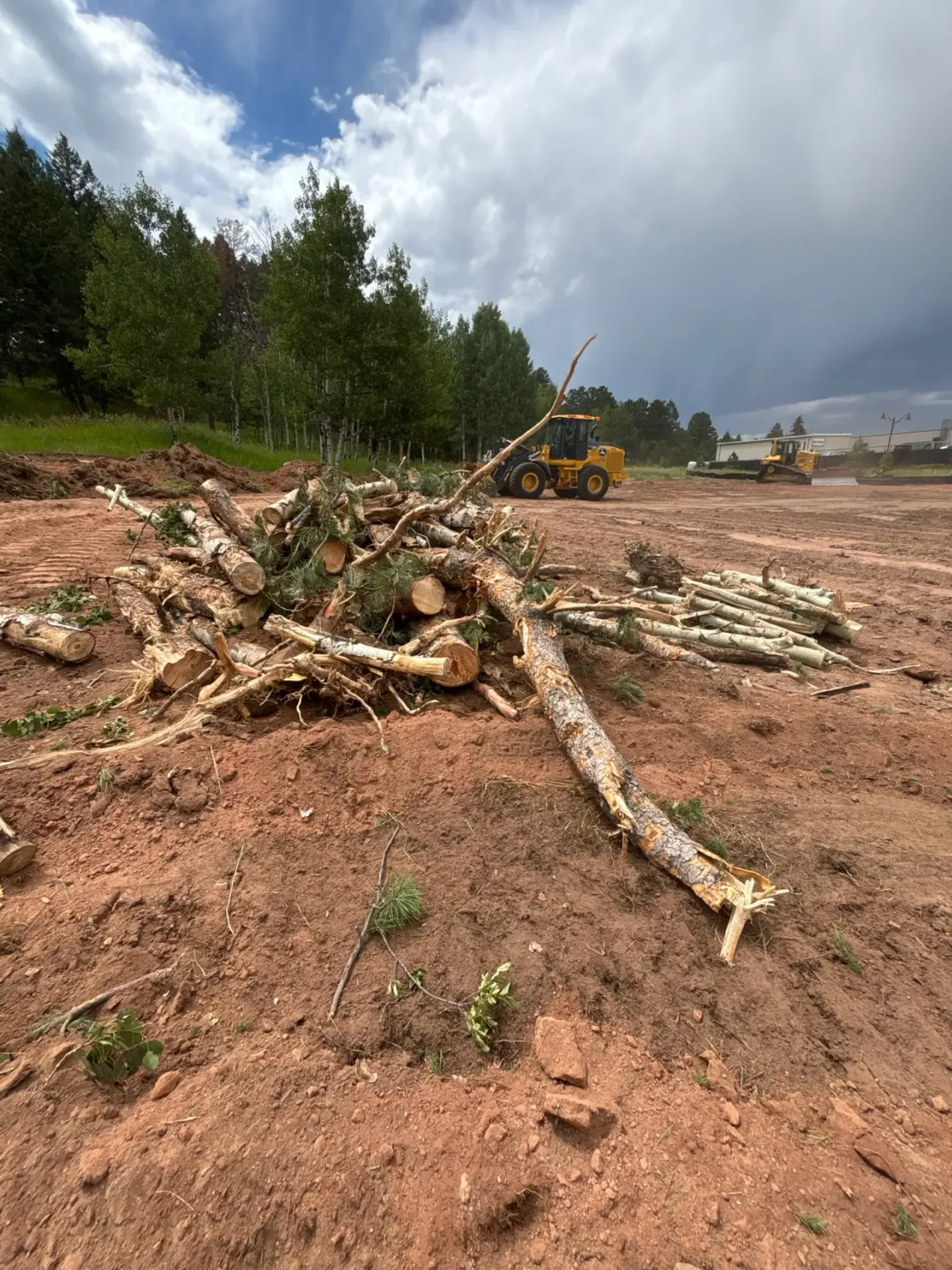 Woodland Park – Mass Grading: photo 5